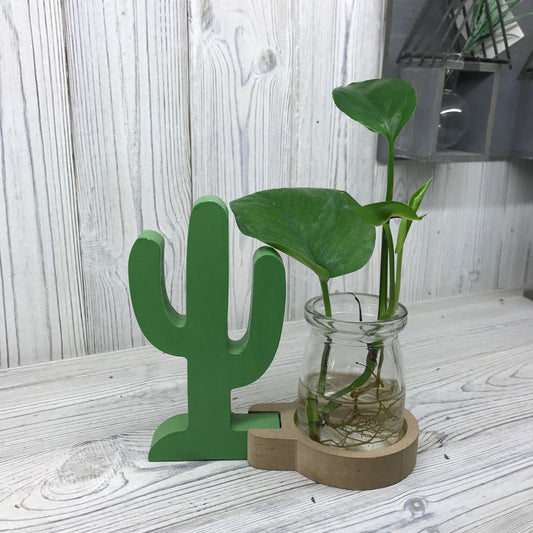 Decoración hidropónica del hogar - Maceta de cactus