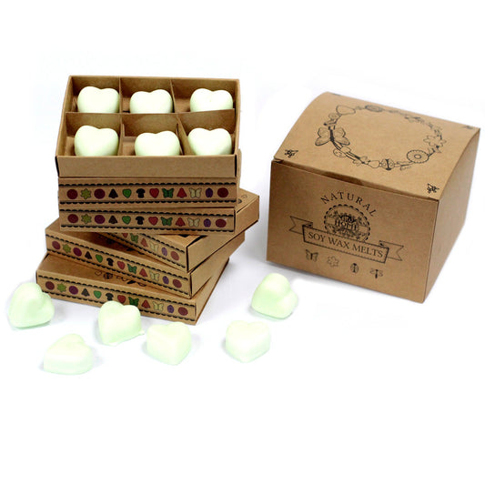 Caja de 6 Cera Derretida - Apple Spice