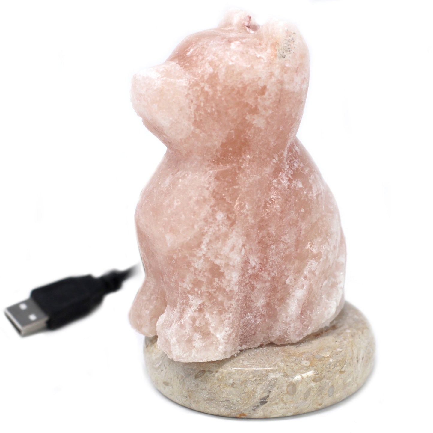 USB con forma de perro (multicolor)