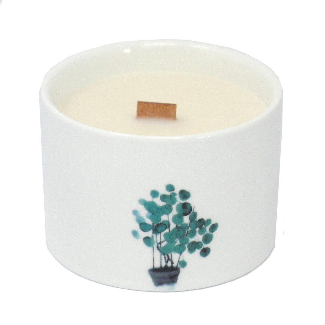 Med Botanical Candles - Lemon Honeysuckle