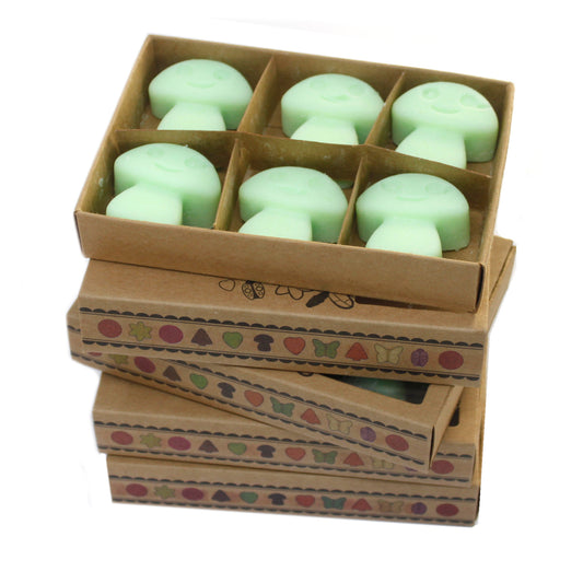 Box of 6  Wax Melts - Liquorice