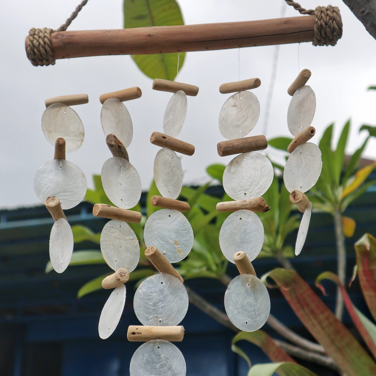 Campana de madera flotante con efecto perla