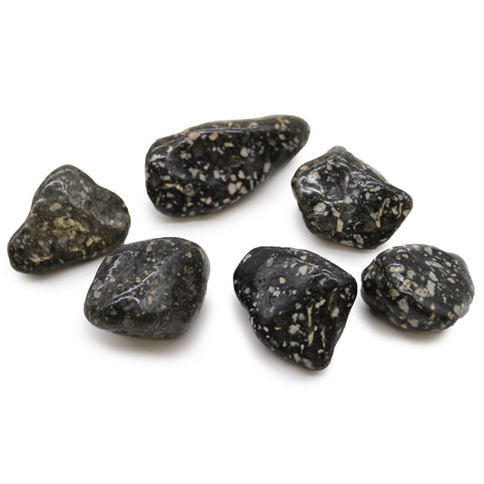 Large African Tumble Stones - Guinea Fowl Large